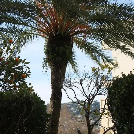 Appartement Antibes-juan Les Pins-parc Exflora *